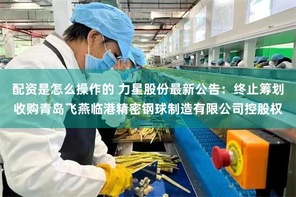 配资是怎么操作的 力星股份最新公告：终止筹划收购青岛飞燕临港精密钢球制造有限公司控股权