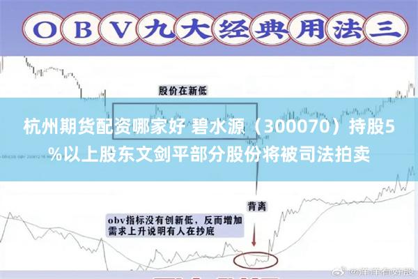 杭州期货配资哪家好 碧水源（300070）持股5%以上股东文剑平部分股份将被司法拍卖