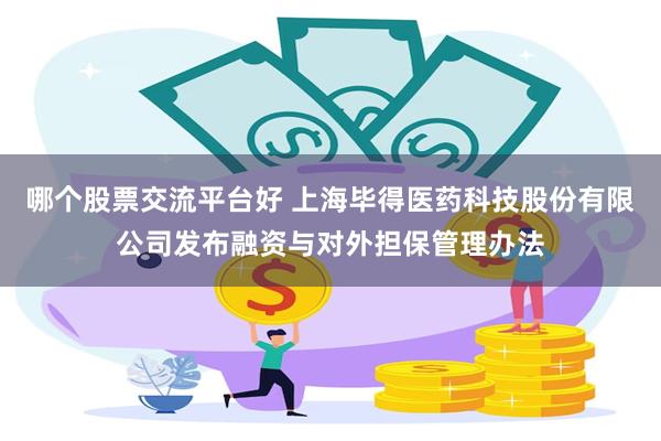 哪个股票交流平台好 上海毕得医药科技股份有限公司发布融资与对外担保管理办法