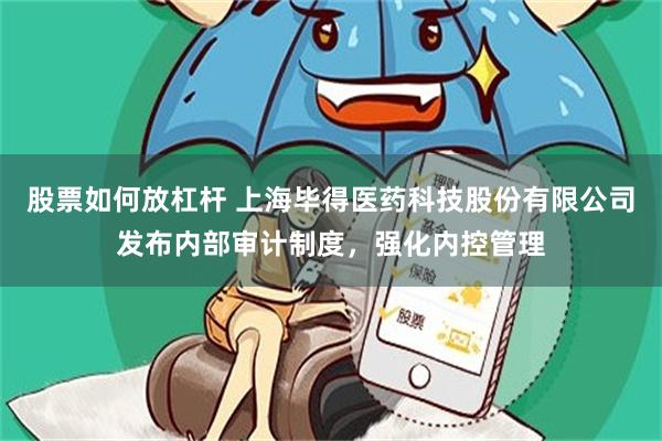 股票如何放杠杆 上海毕得医药科技股份有限公司发布内部审计制度,强化内控管理