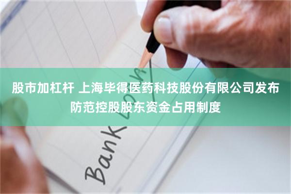 股市加杠杆 上海毕得医药科技股份有限公司发布防范控股股东资金占用制度