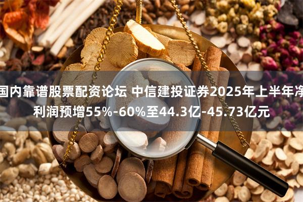 国内靠谱股票配资论坛 中信建投证券2025年上半年净利润预增55%-60%至44.3亿-45.73亿元