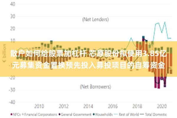 散户如何给股票加杠杆 芯原股份拟使用3.85亿元募集资金置换预先投入募投项目的自筹资金