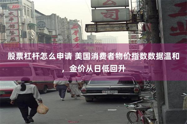 股票杠杆怎么申请 美国消费者物价指数数据温和，金价从日低回升