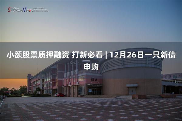 小额股票质押融资 打新必看 | 12月26日一只新债申购