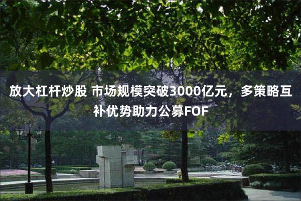 放大杠杆炒股 市场规模突破3000亿元，多策略互补优势助力公募FOF
