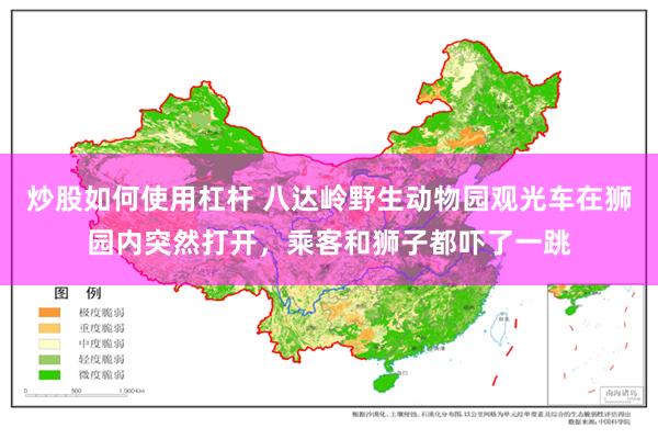 炒股如何使用杠杆 八达岭野生动物园观光车在狮园内突然打开，乘客和狮子都吓了一跳