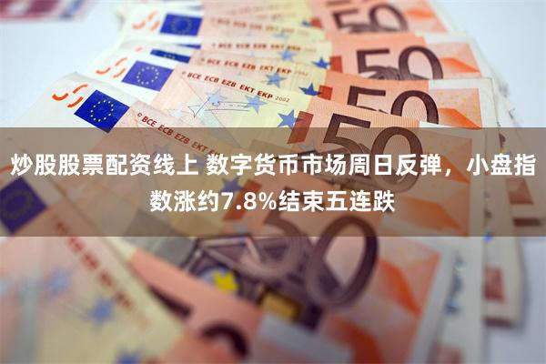 炒股股票配资线上 数字货币市场周日反弹，小盘指数涨约7.8%结束五连跌