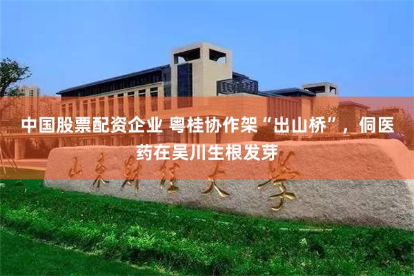 中国股票配资企业 粤桂协作架“出山桥”,侗医药在吴川生根发芽