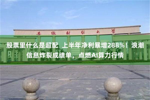 股票里什么是超配 上半年净利暴增288%!浪潮信息炸裂成绩单,点燃AI算力行情
