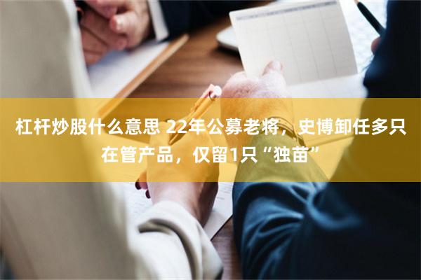 杠杆炒股什么意思 22年公募老将，史博卸任多只在管产品，仅留1只“独苗”