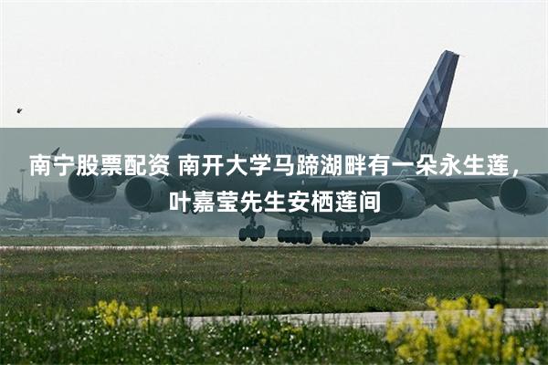南宁股票配资 南开大学马蹄湖畔有一朵永生莲，叶嘉莹先生安栖莲间