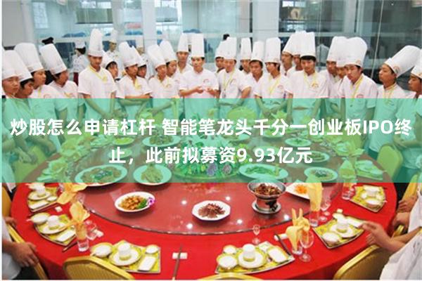 炒股怎么申请杠杆 智能笔龙头千分一创业板IPO终止，此前拟募资9.93亿元