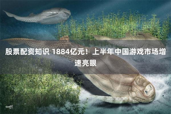 股票配资知识 1884亿元！上半年中国游戏市场增速亮眼