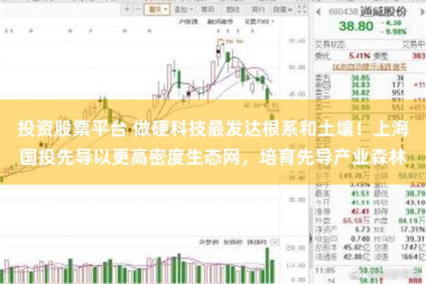 投资股票平台 做硬科技最发达根系和土壤！上海国投先导以更高密度生态网，培育先导产业森林