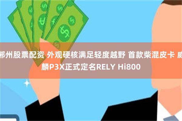 郴州股票配资 外观硬核满足轻度越野 首款柴混皮卡 威麟P3X正式定名RELY Hi800