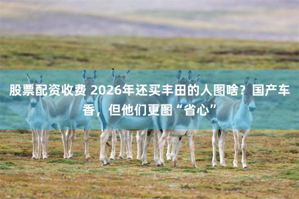 股票配资收费 2026年还买丰田的人图啥？国产车香，但他们更图“省心”