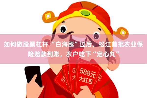 如何做股票杠杆 “白海豚”过后，松江首批农业保险赔款到账，农户吃下“定心丸”