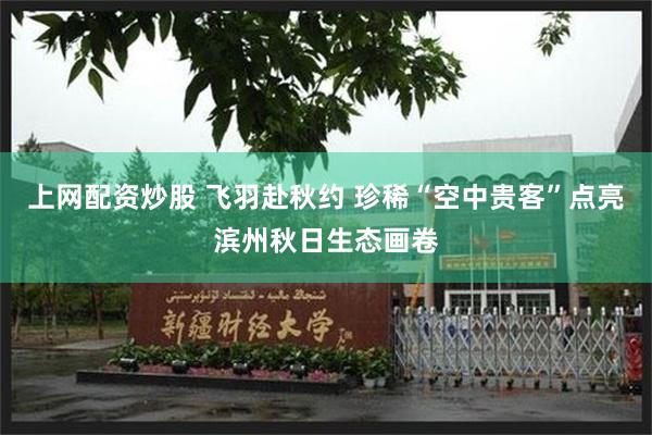 上网配资炒股 飞羽赴秋约 珍稀“空中贵客”点亮滨州秋日生态画卷