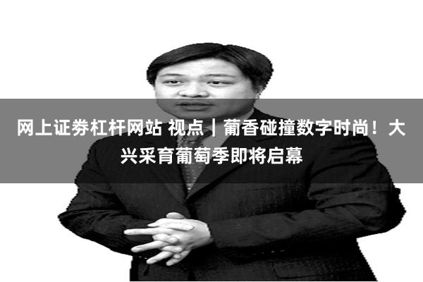 网上证劵杠杆网站 视点｜葡香碰撞数字时尚！大兴采育葡萄季即将启幕