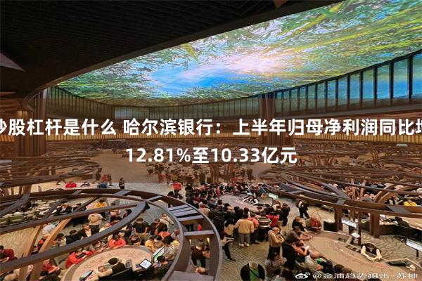 炒股杠杆是什么 哈尔滨银行:上半年归母净利润同比增12.81%至10.33亿元